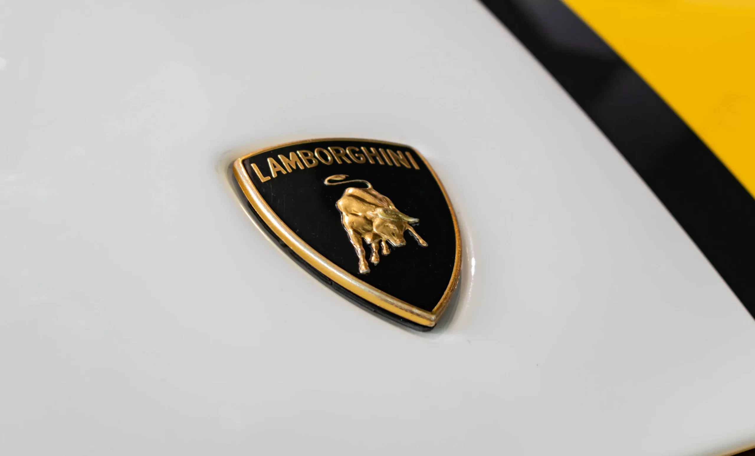 Lamborghini Gallardo Valentino Balboni (12)