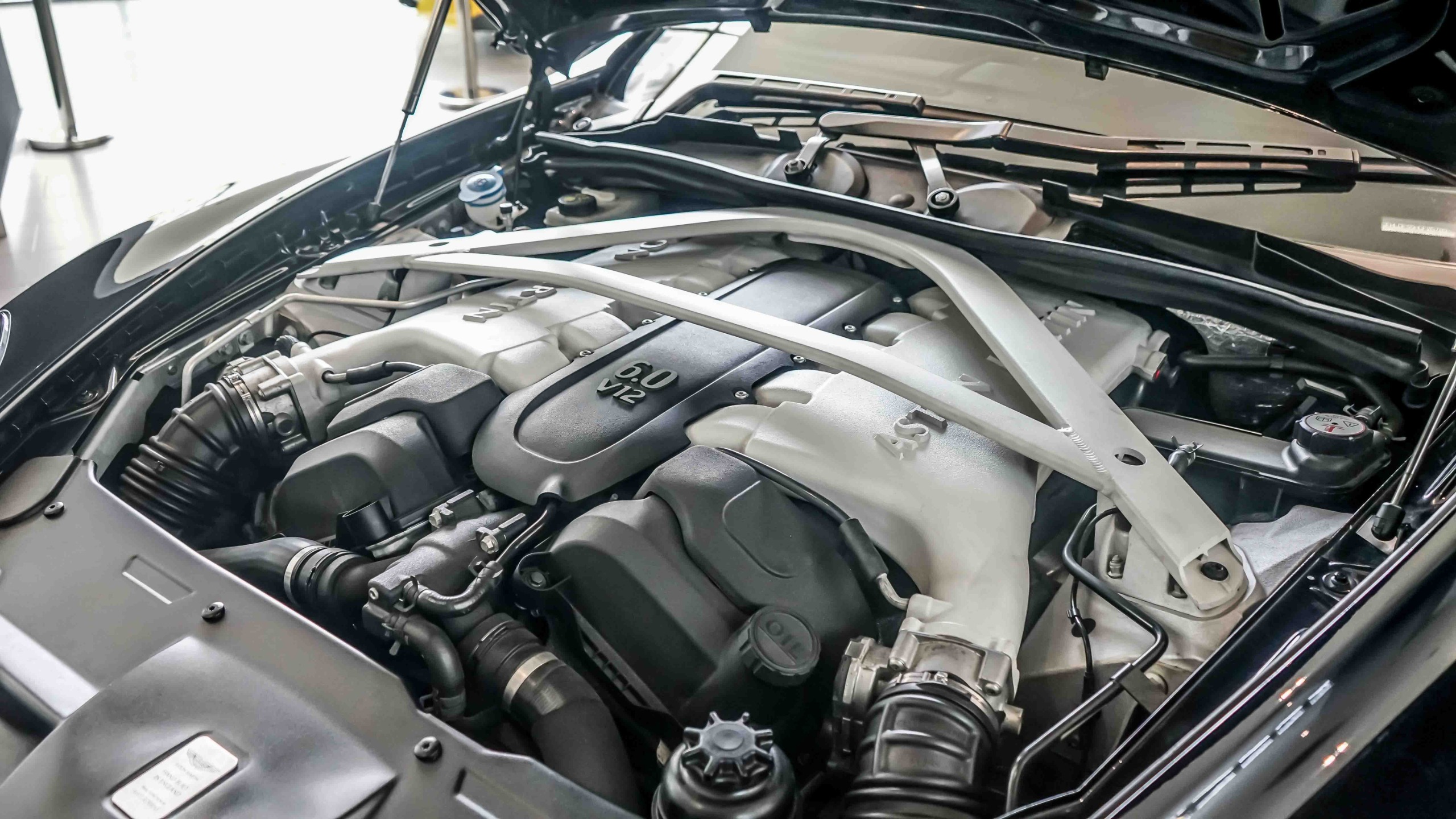 WhatsApp Image 2025-11-29 at 11.39.44 AM