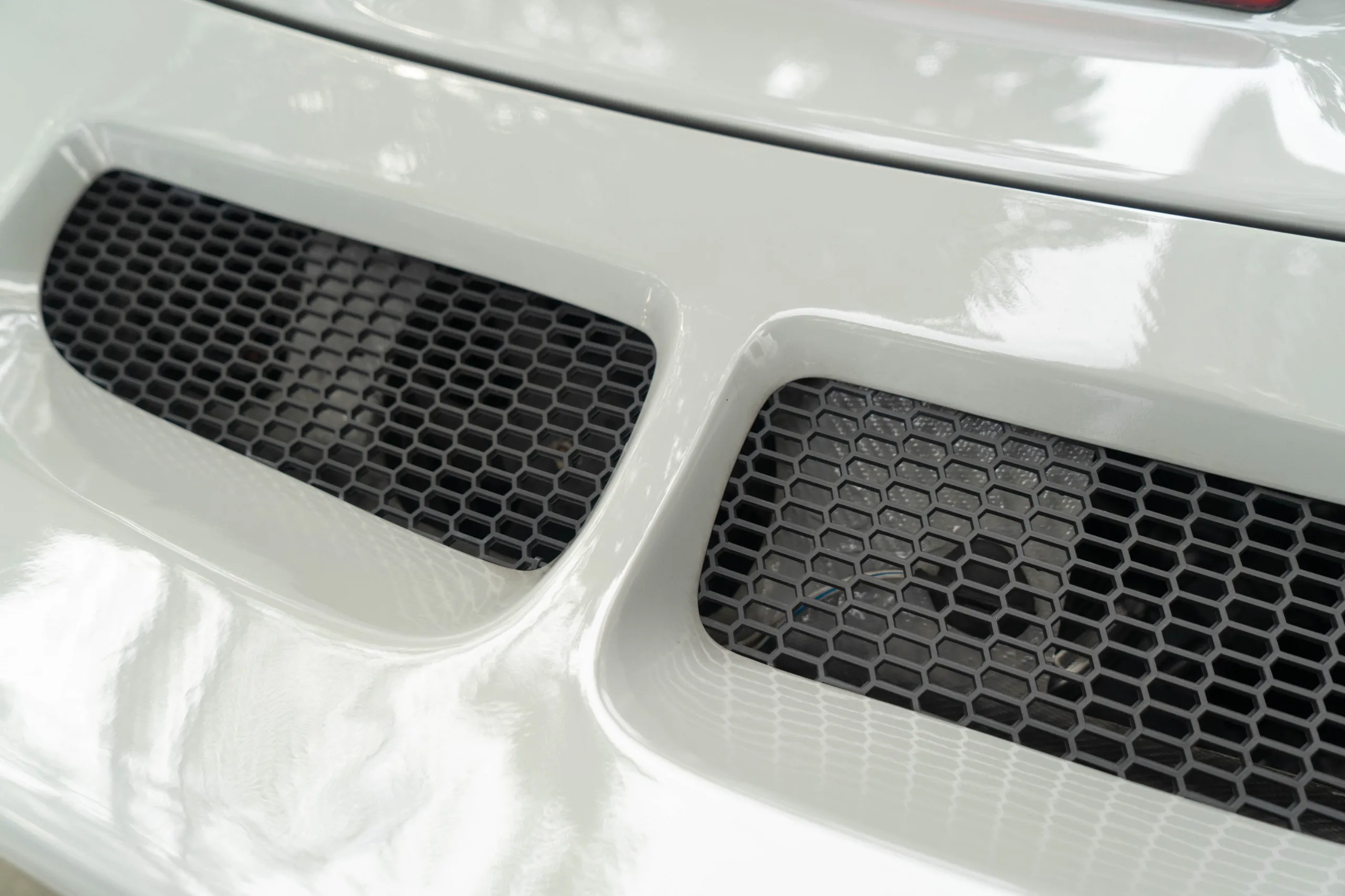 WhatsApp Image 2025-11-26 at 11.04.04 AM