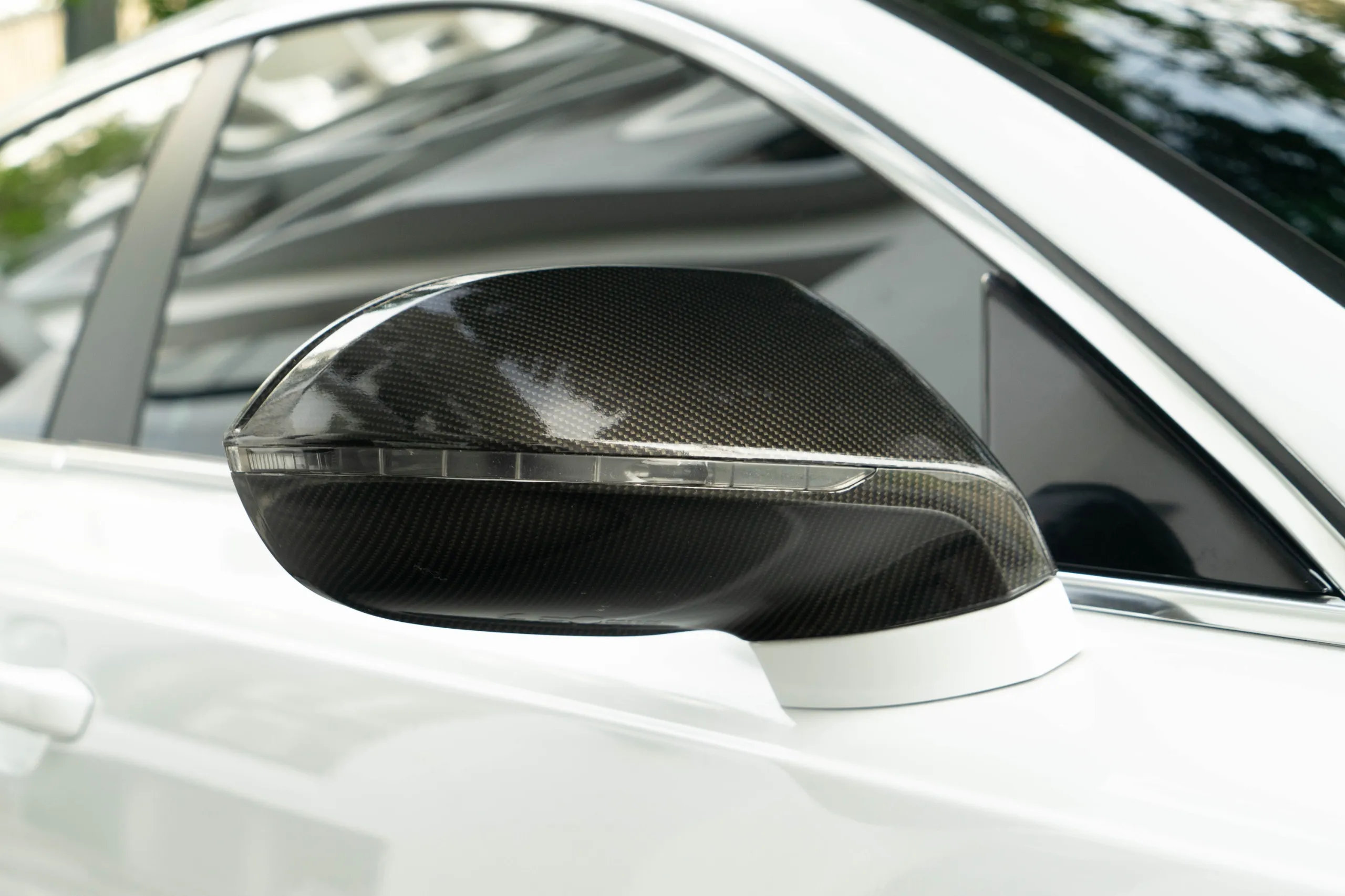 WhatsApp Image 2025-12-04 at 6.11.47 PM