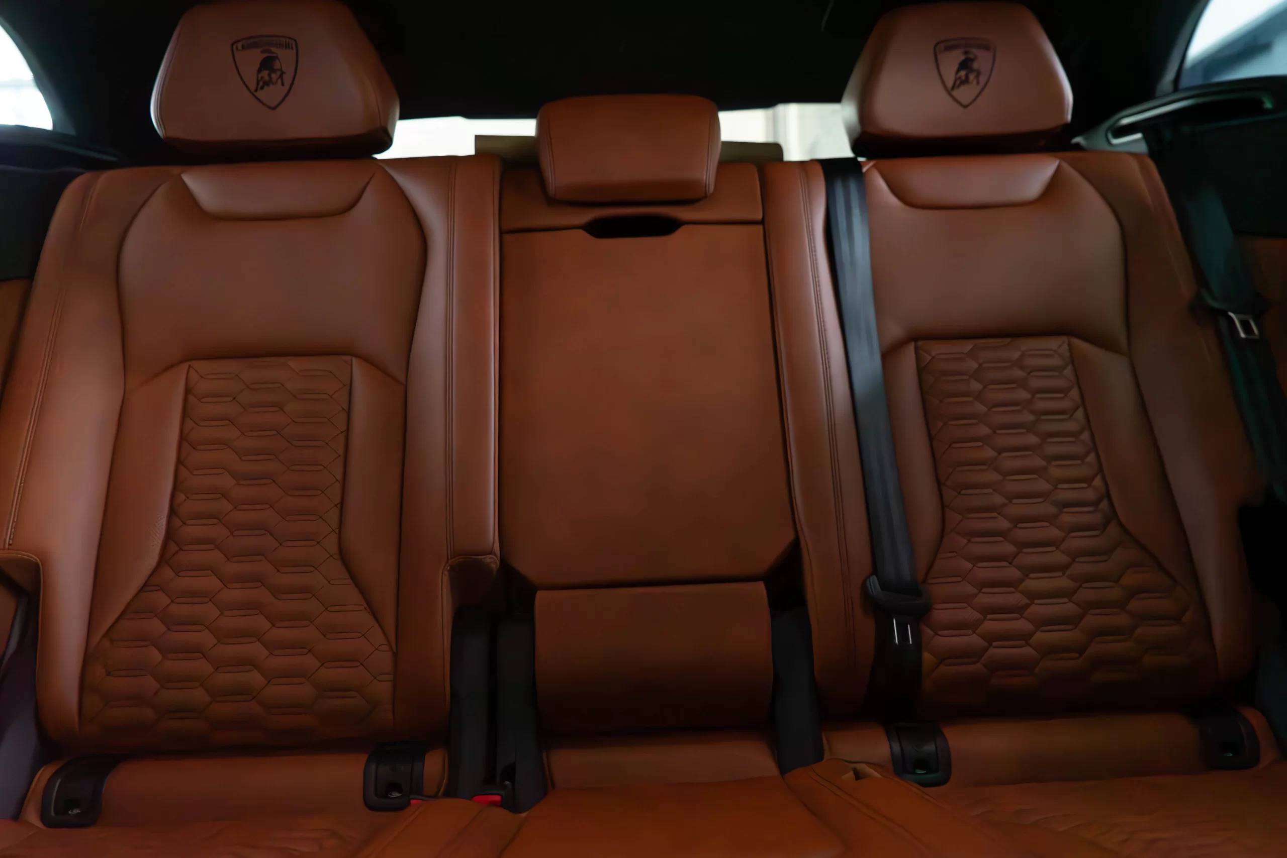 DSC01463-Enhanced-NR