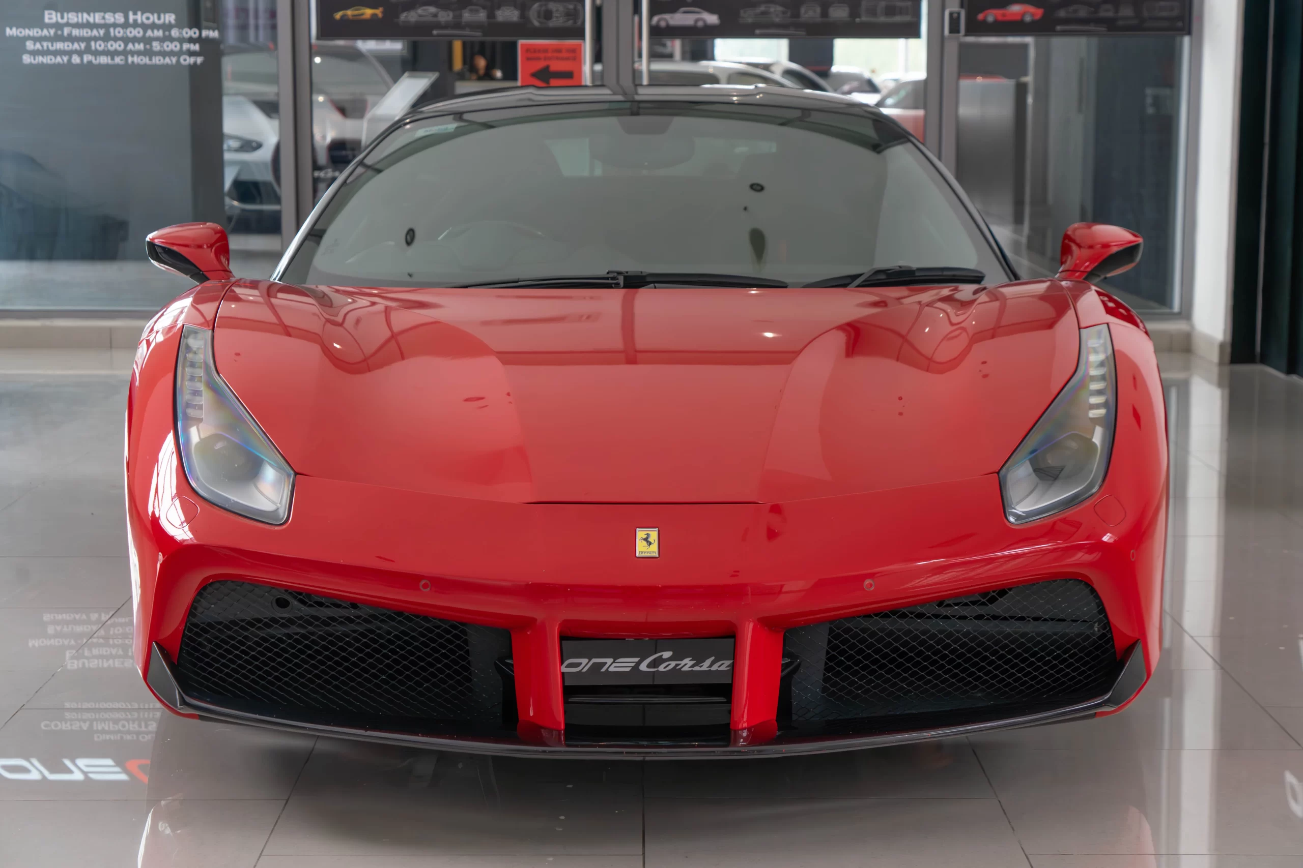 DSC03273-Enhanced-NR