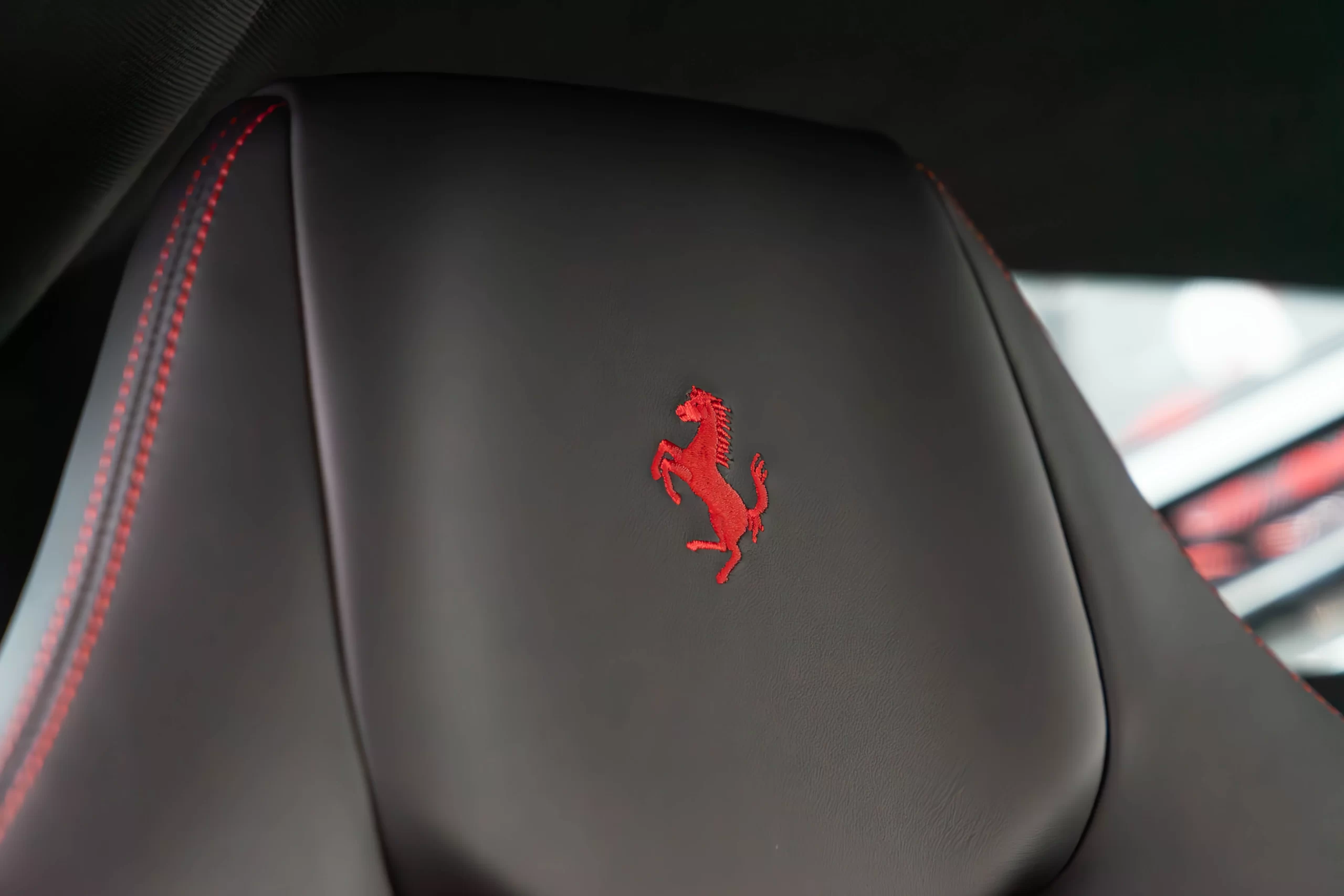 DSC03320-Enhanced-NR