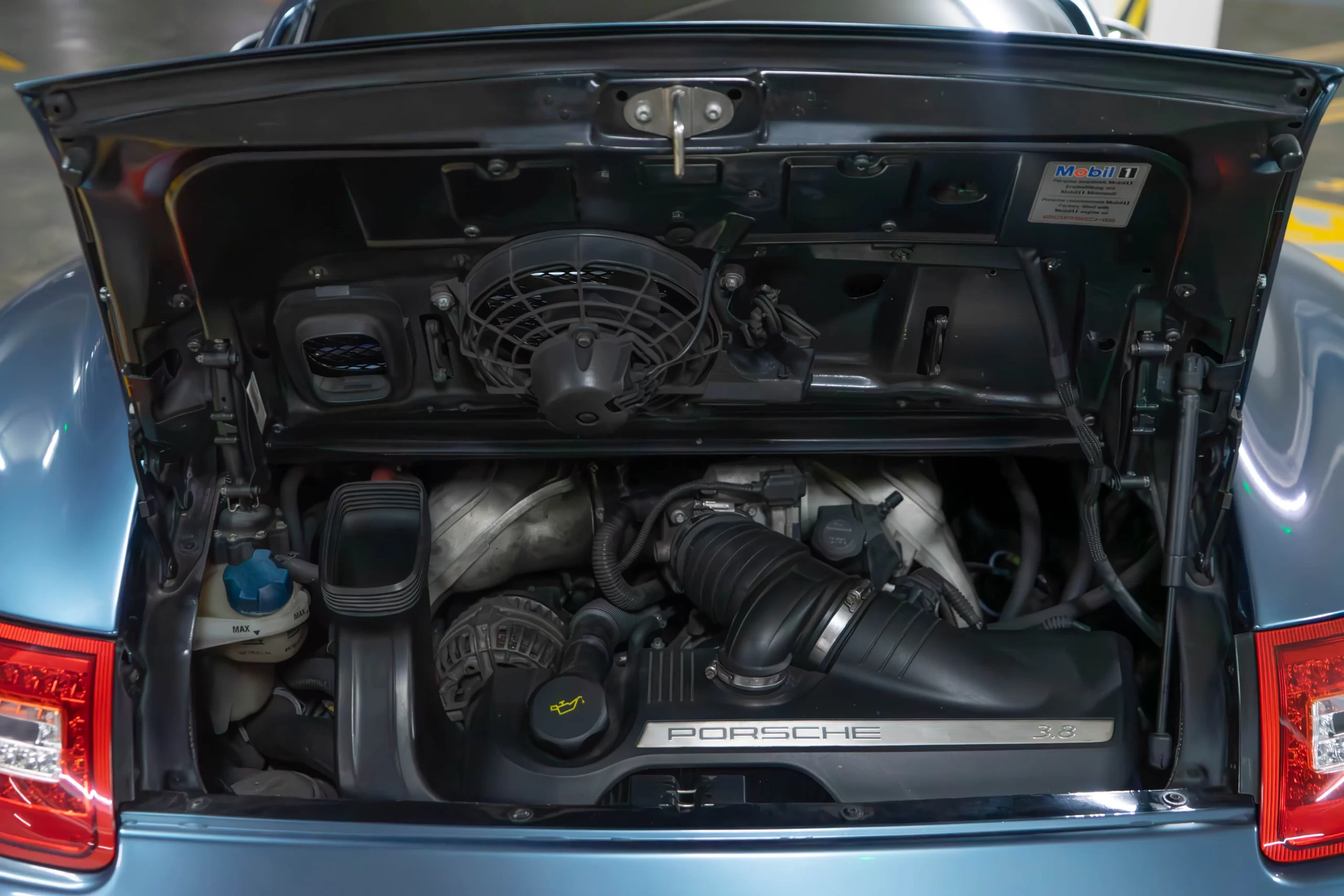 DSC04624-Enhanced-NR