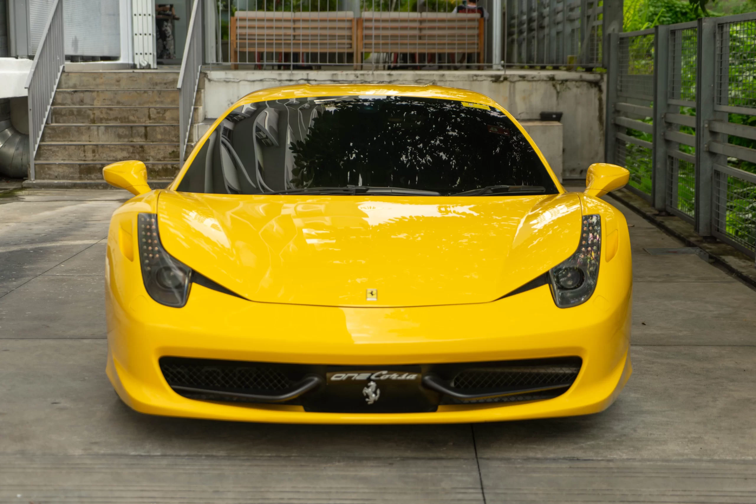 DSC05473-Enhanced-NR