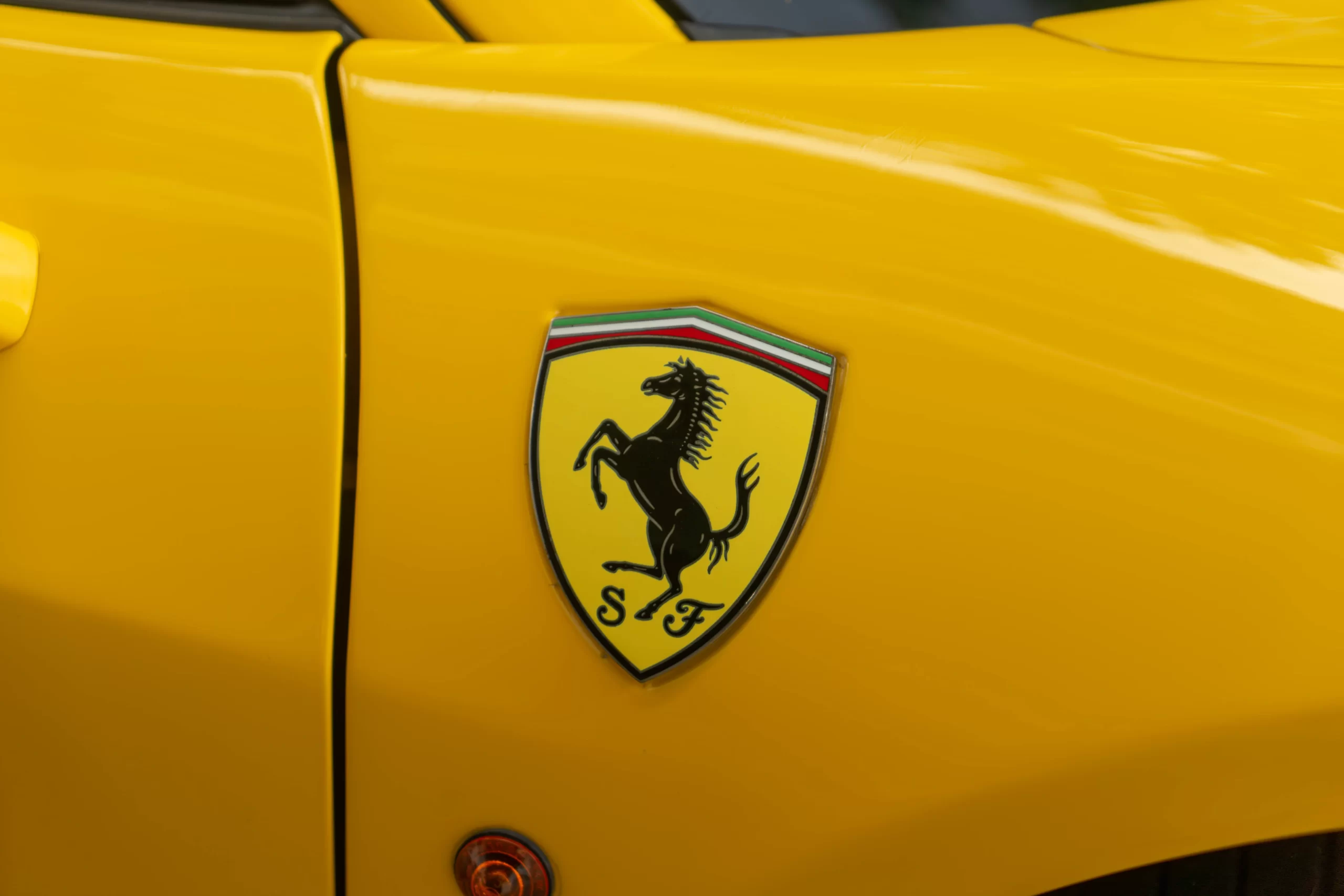 DSC05478-Enhanced-NR