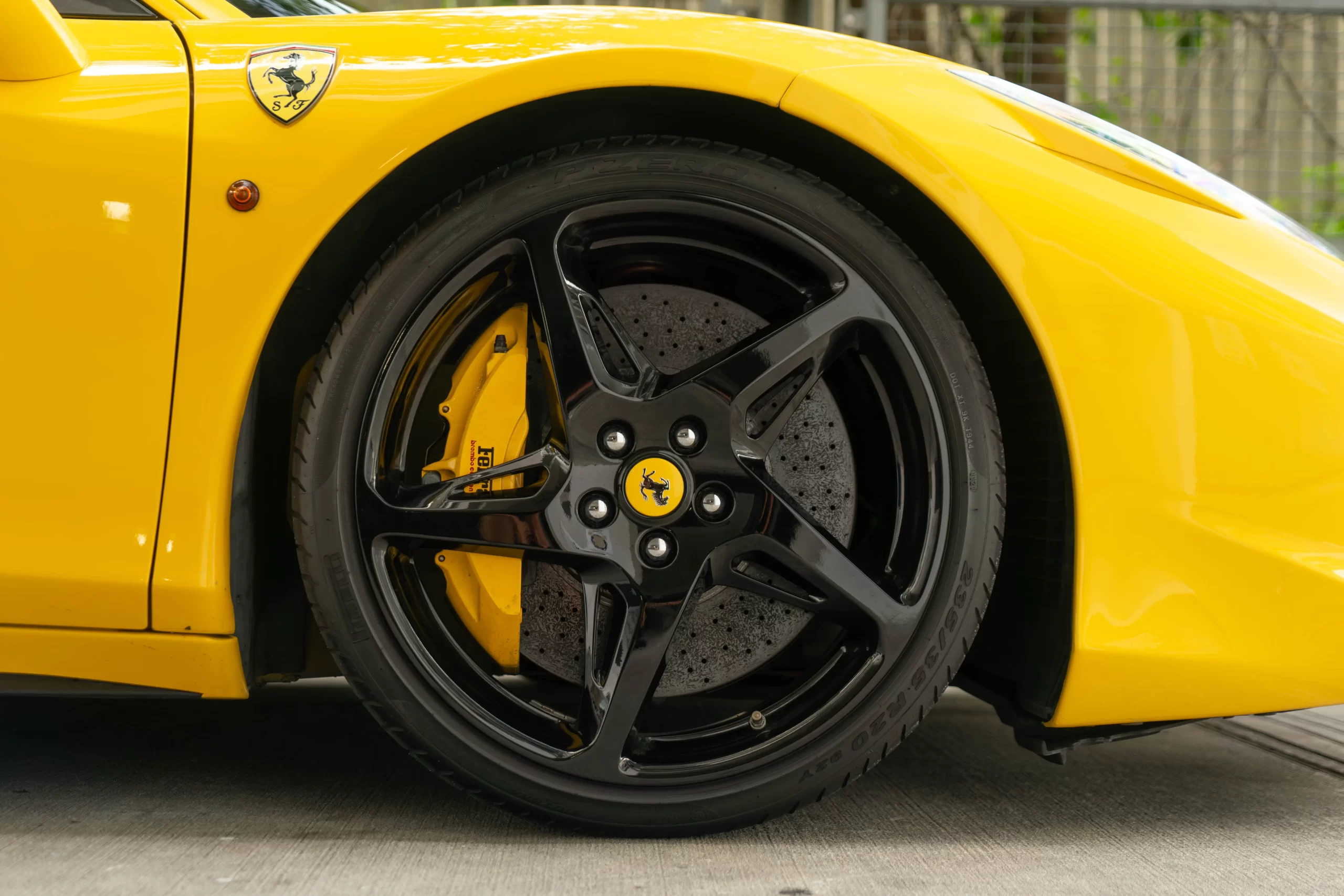 DSC05479-Enhanced-NR