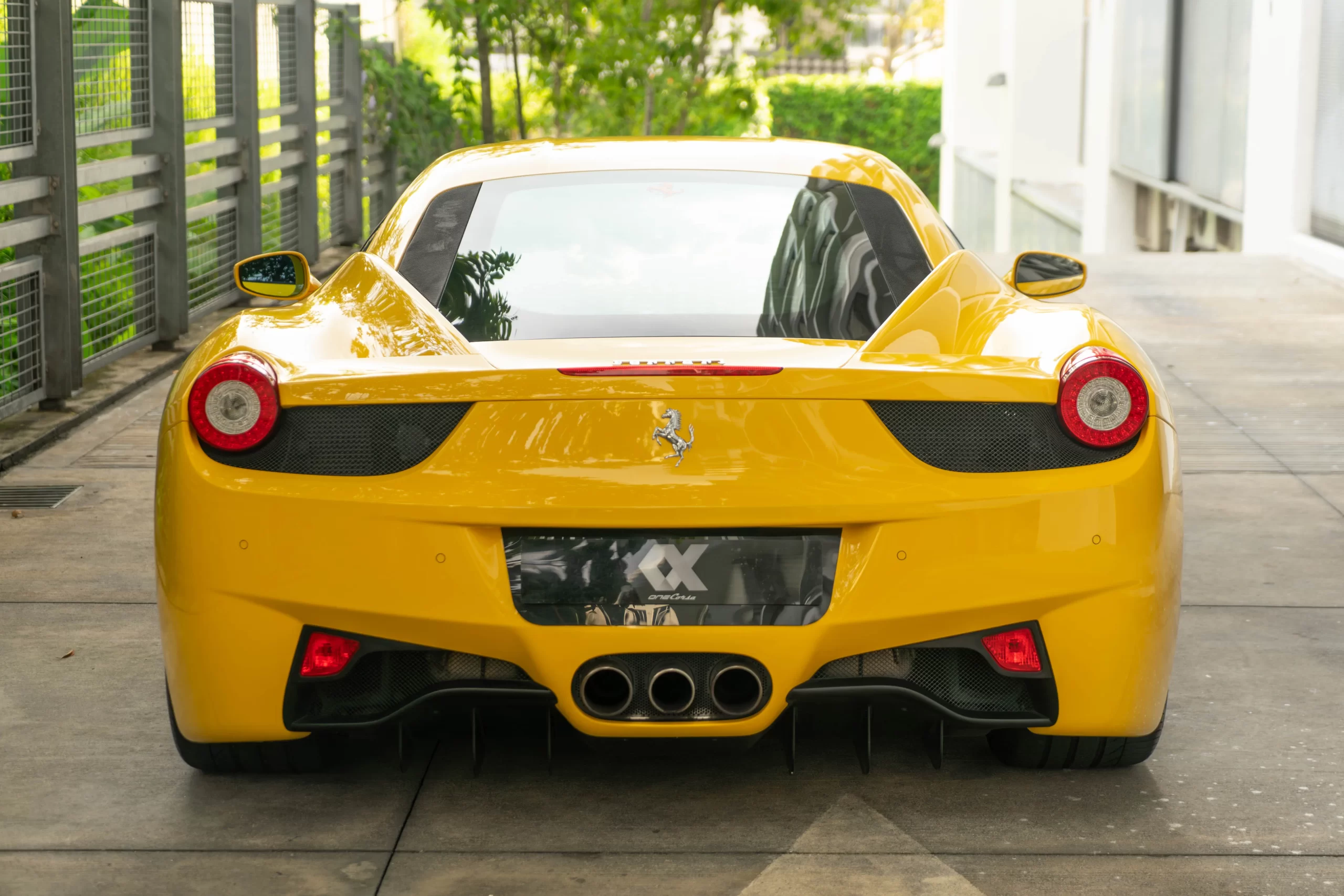 DSC05483-Enhanced-NR