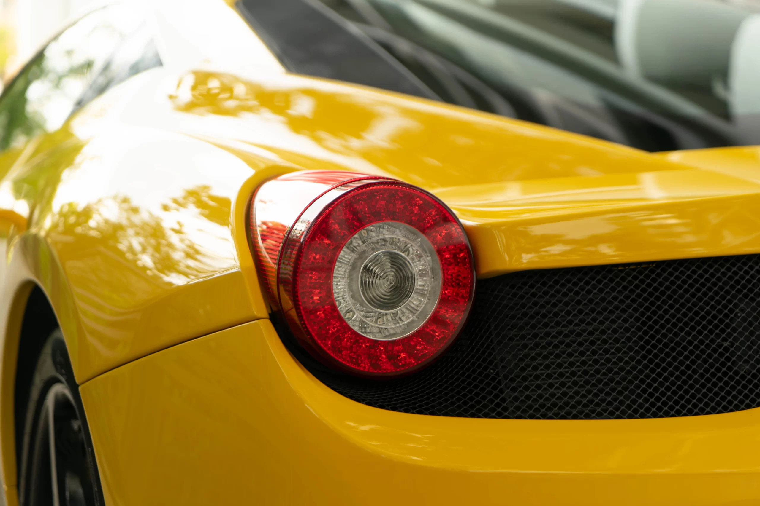 DSC05487-Enhanced-NR