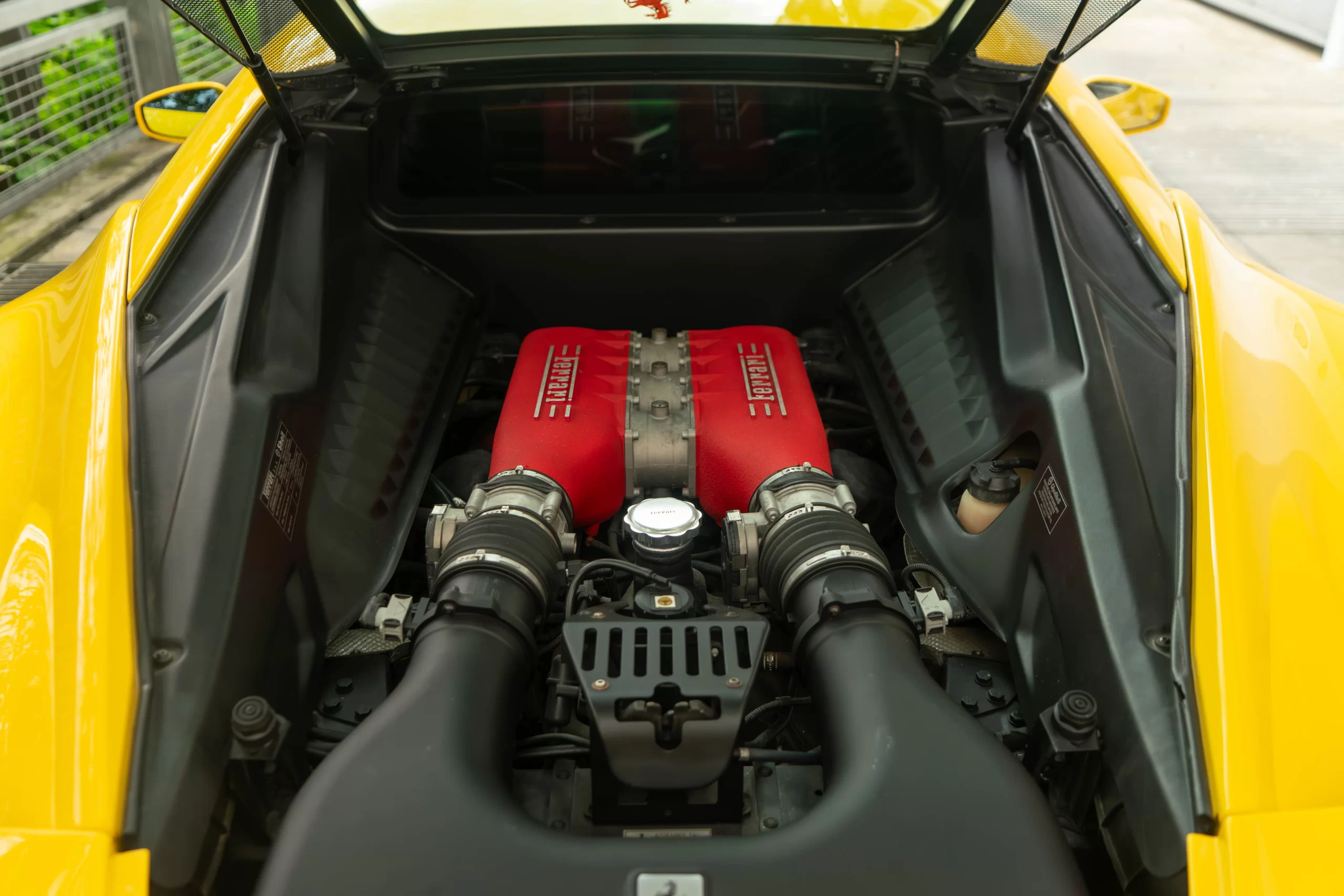 DSC05492-Enhanced-NR