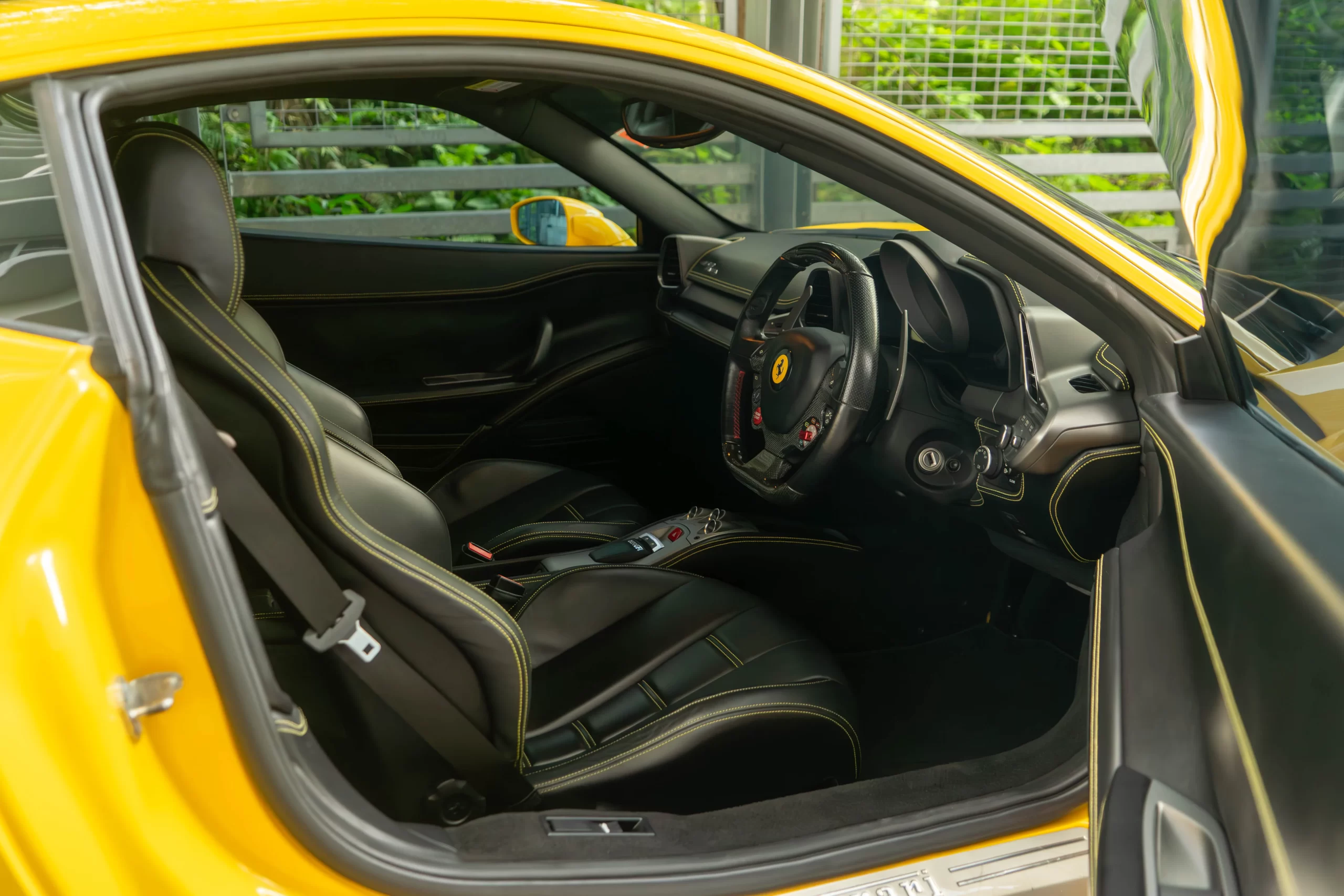 DSC05496-Enhanced-NR