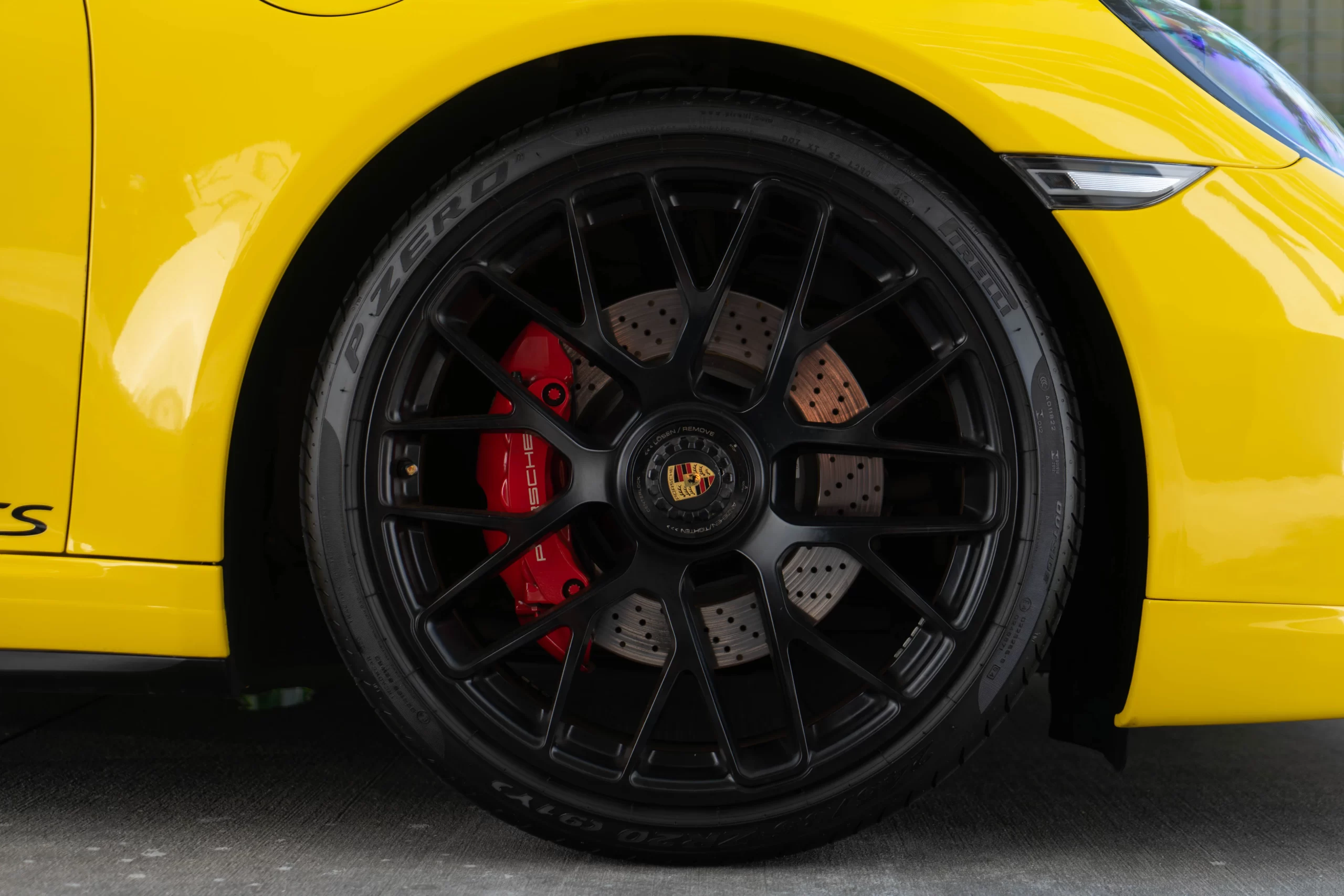 DSC05540-Enhanced-NR