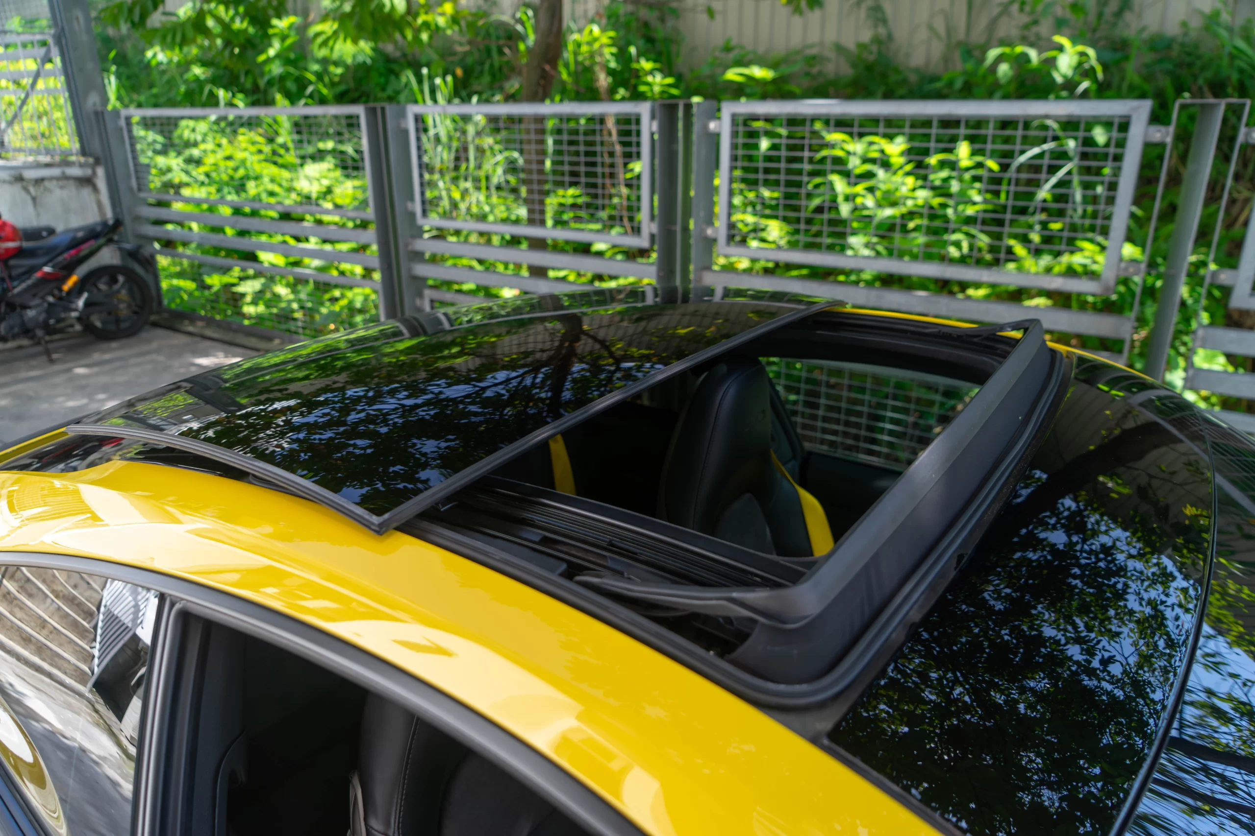 DSC05574-Enhanced-NR