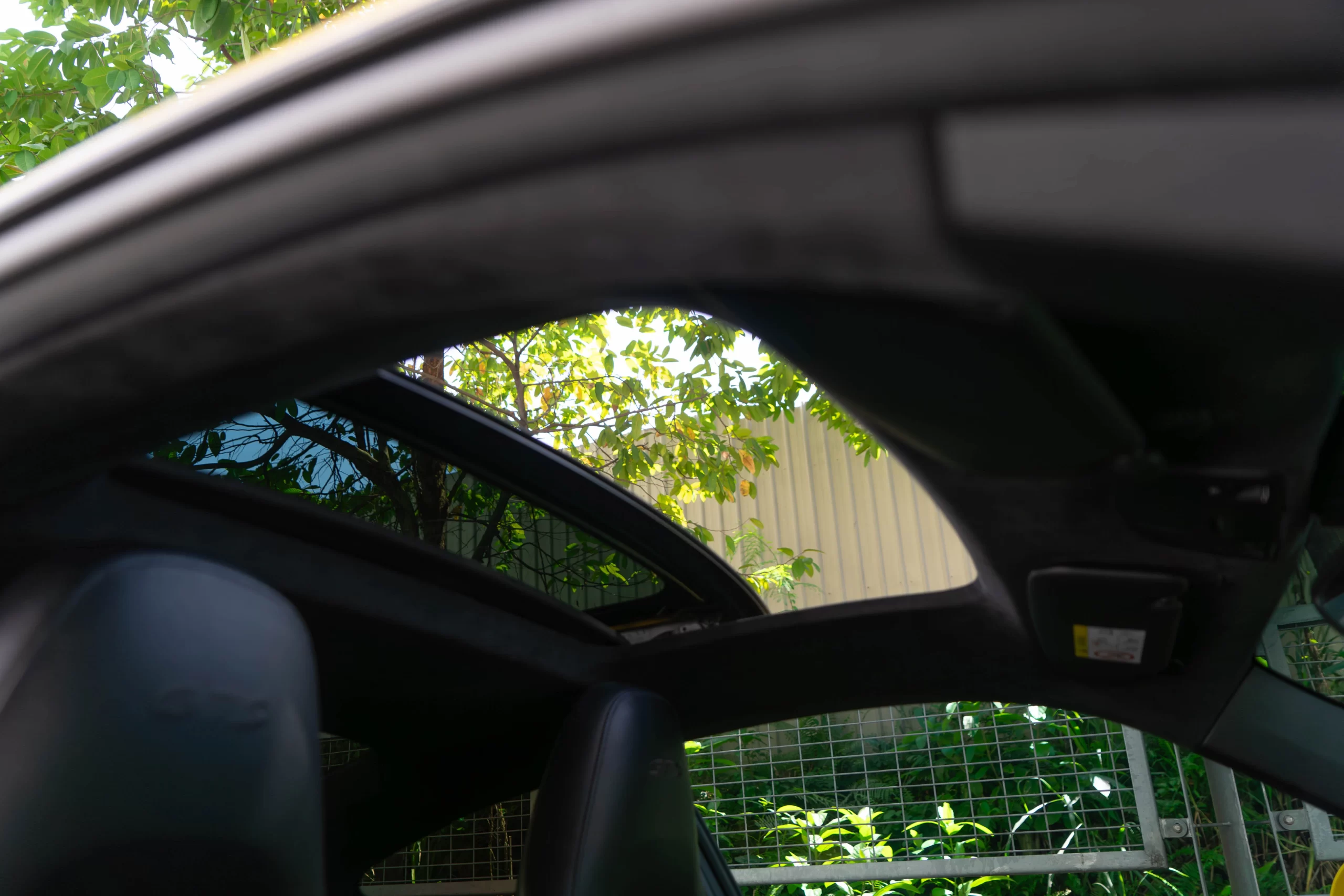 DSC05576-Enhanced-NR