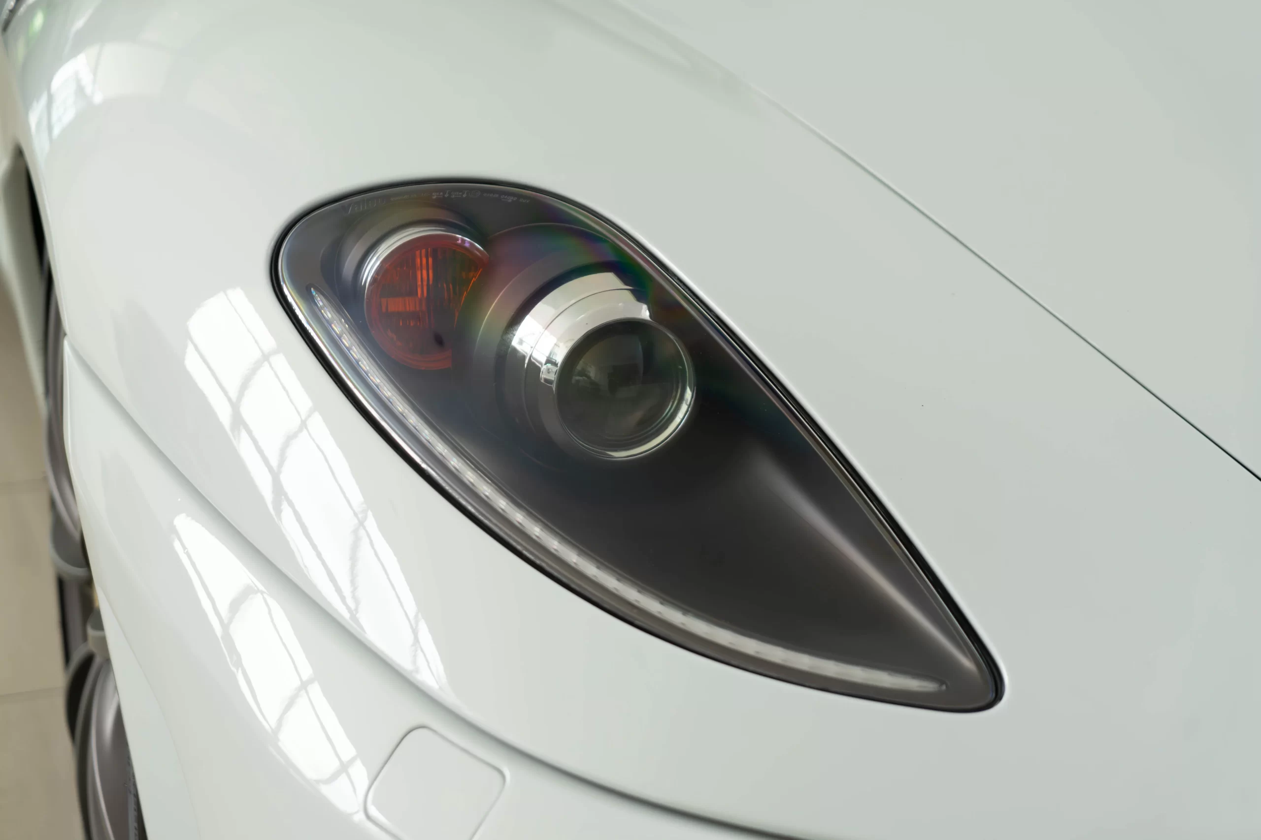 DSC09522-Enhanced-NR