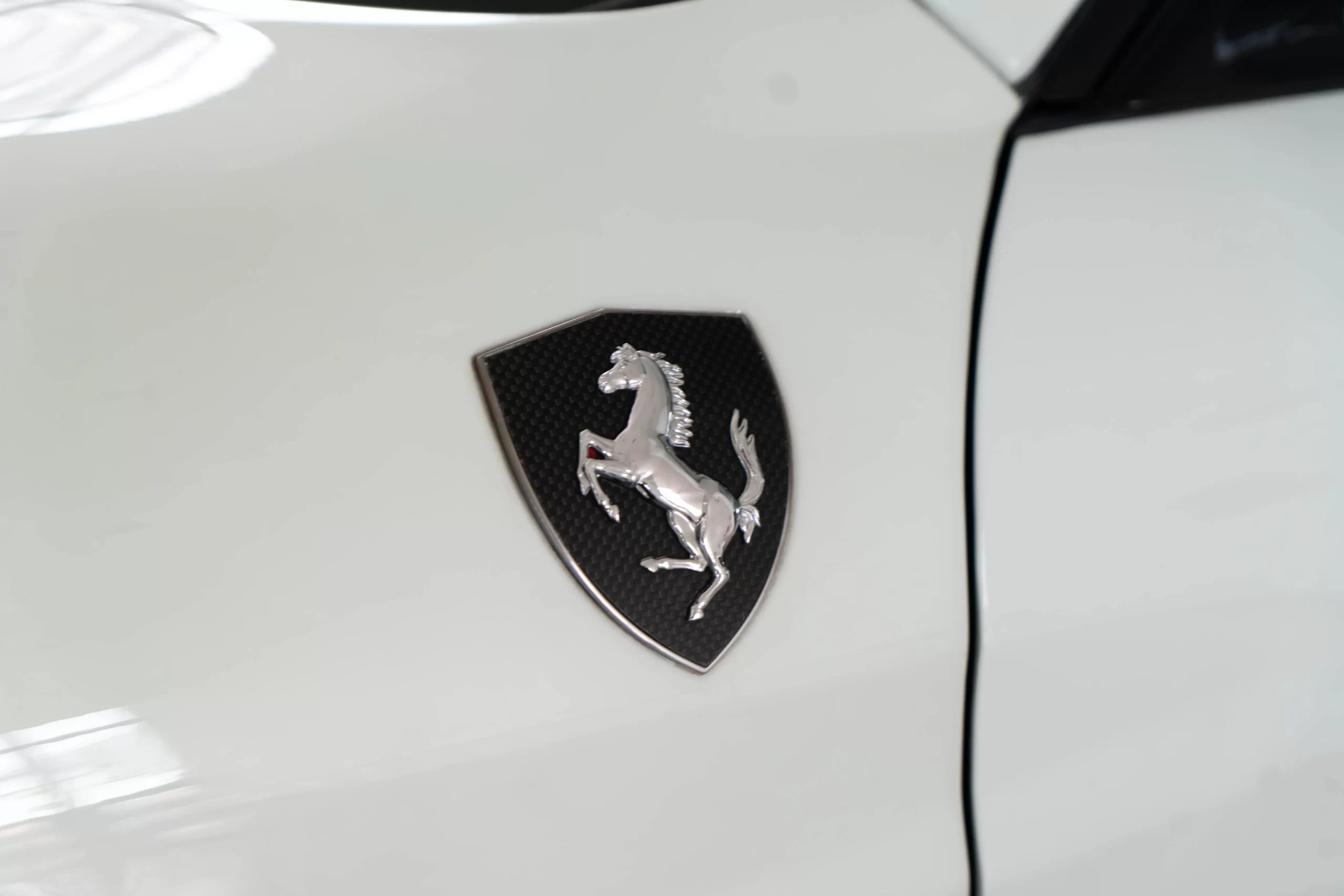 DSC09527-Enhanced-NR