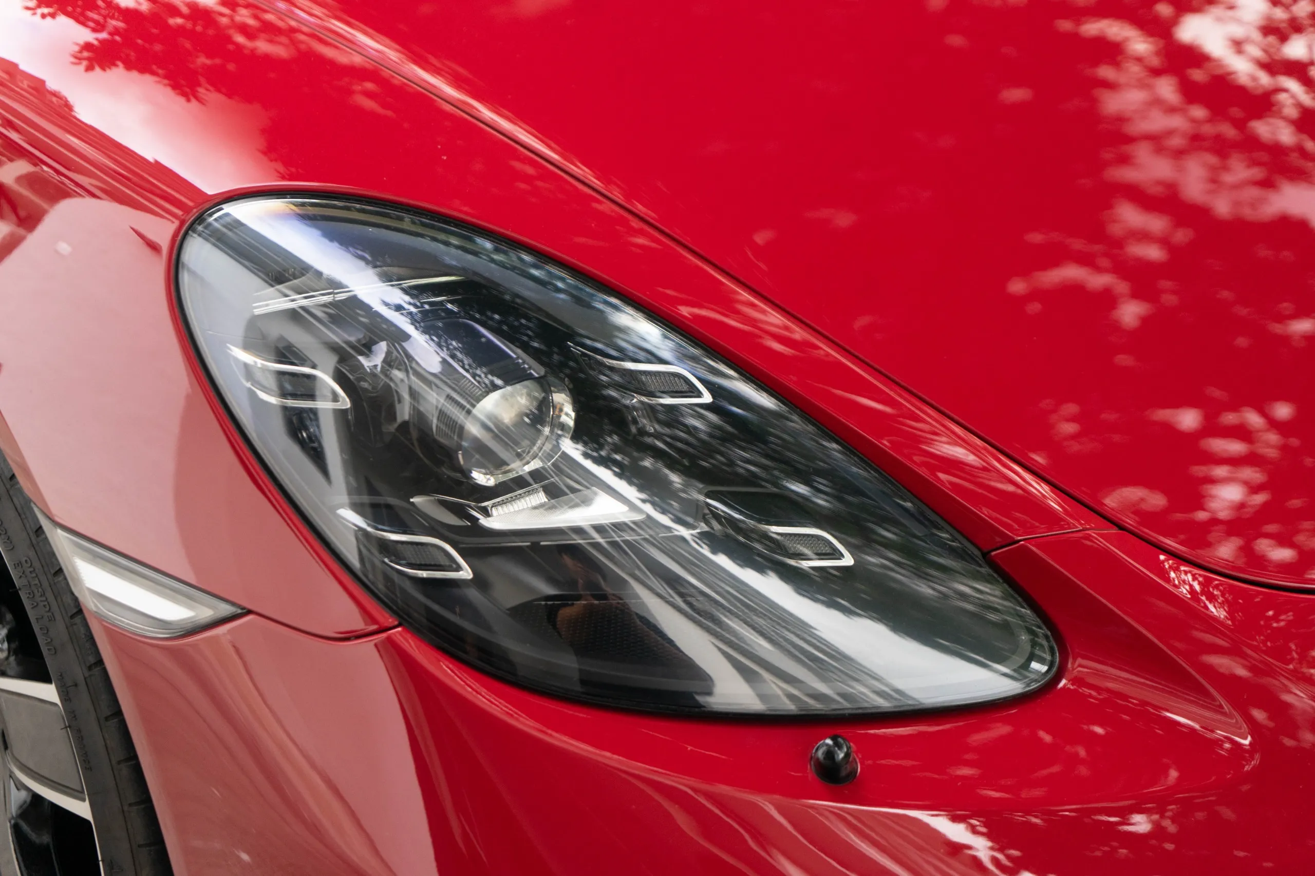 WhatsApp Image 2025-12-29 at 8.01.35 PM