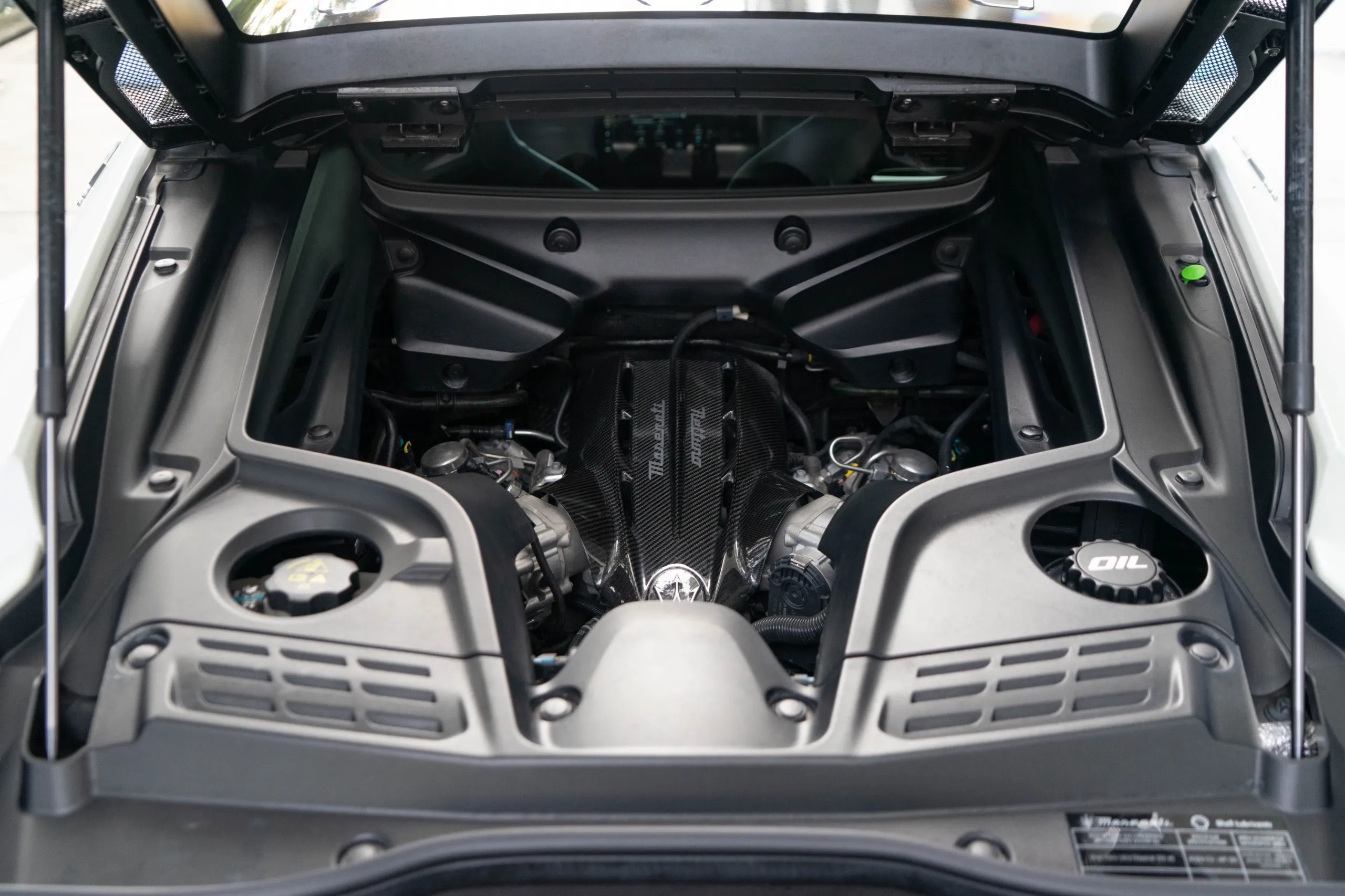 WhatsApp Image 2026-01-08 at 12.03.08 PM