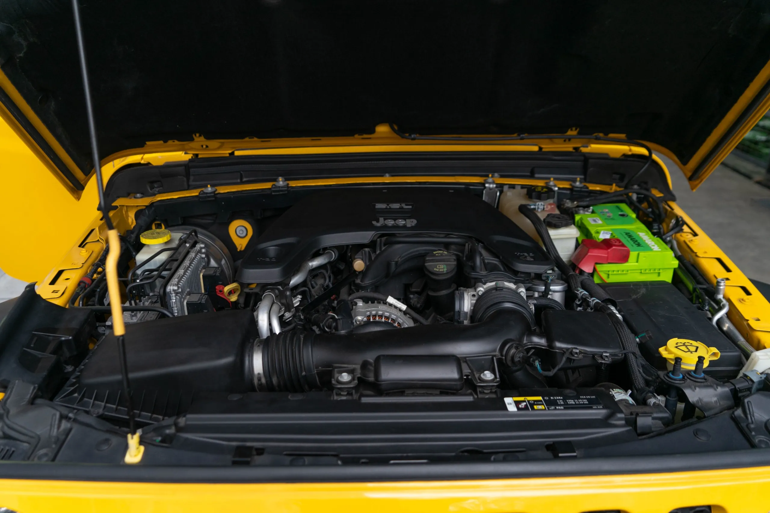 WhatsApp Image 2026-01-12 at 11.13.44 AM (3)