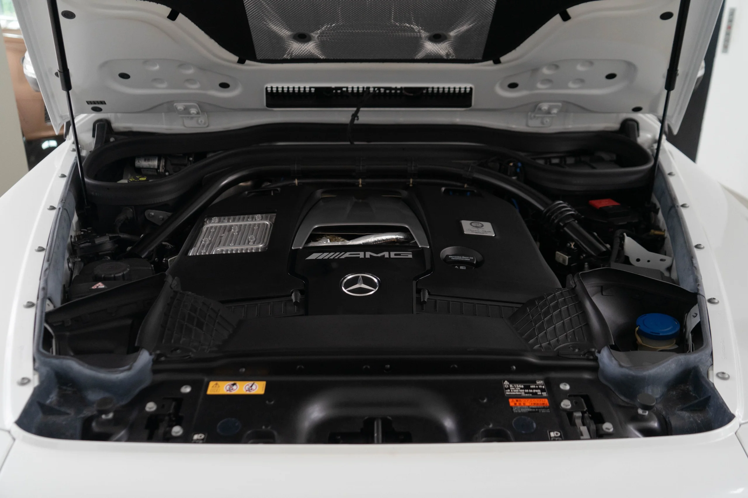 WhatsApp Image 2026-01-27 at 11.06.44 AM