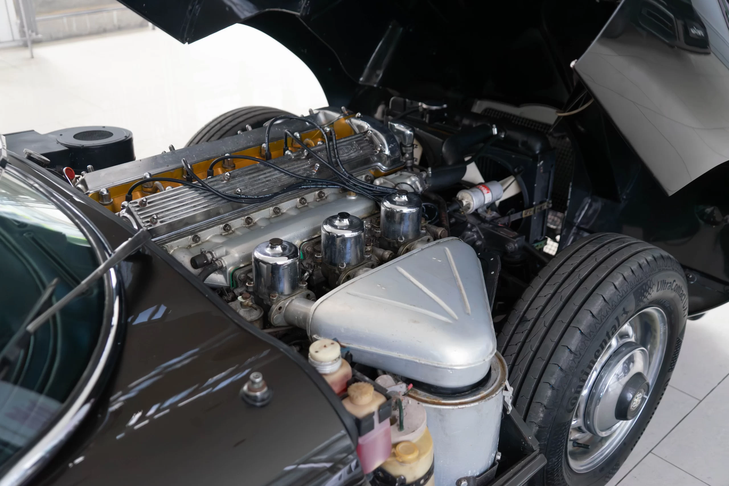 DSC01224-Enhanced-NR