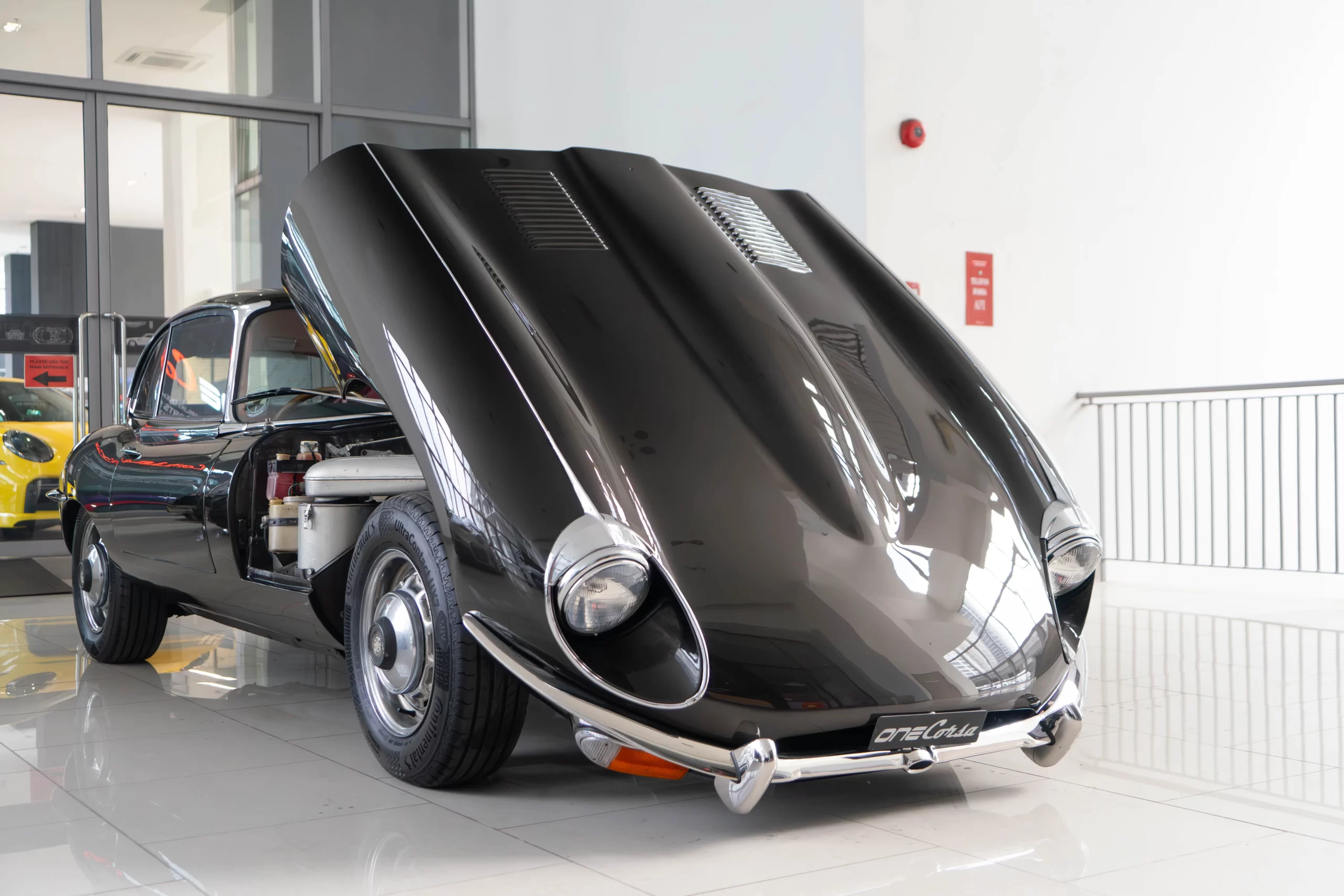 DSC01229-Enhanced-NR