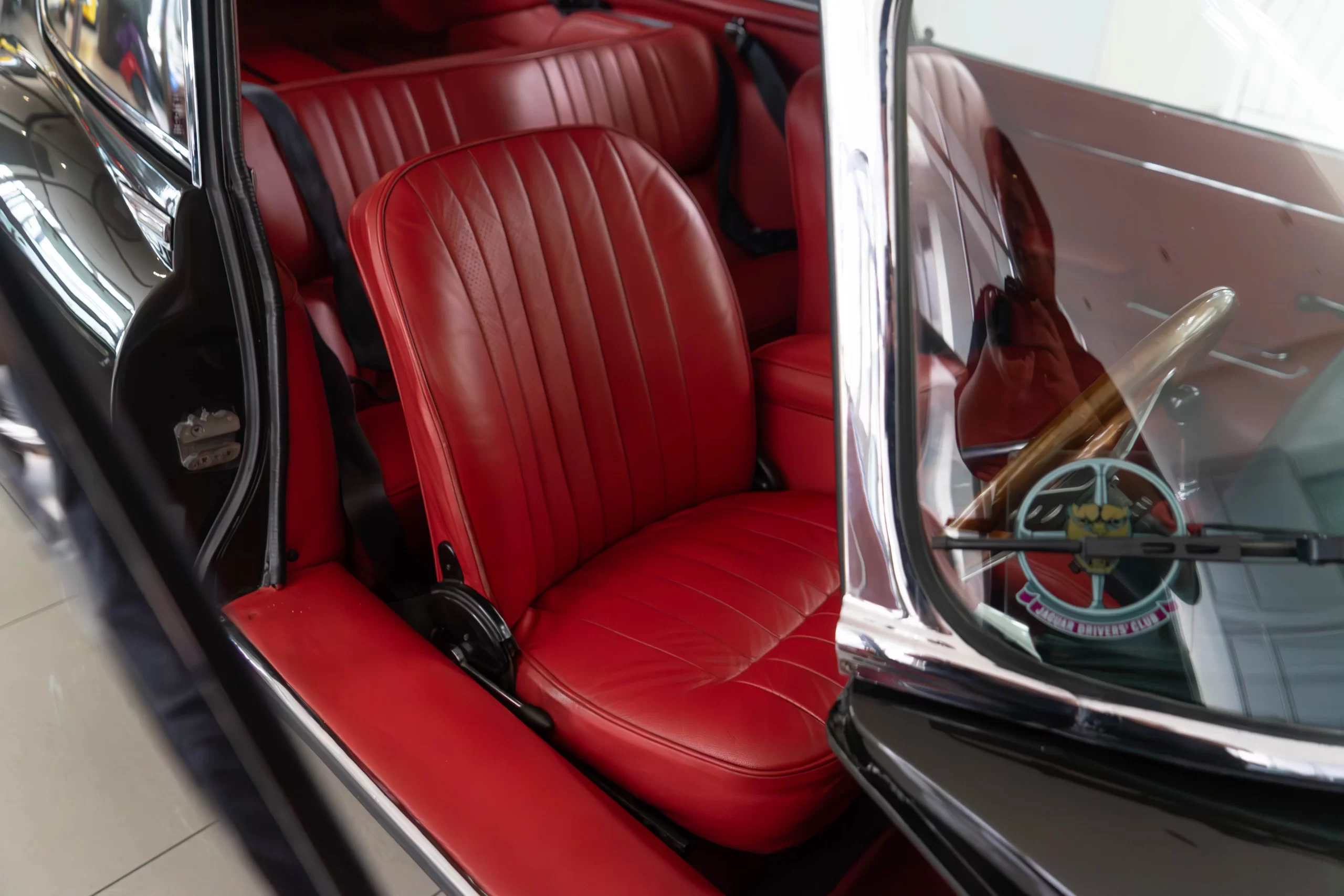 DSC01233-Enhanced-NR