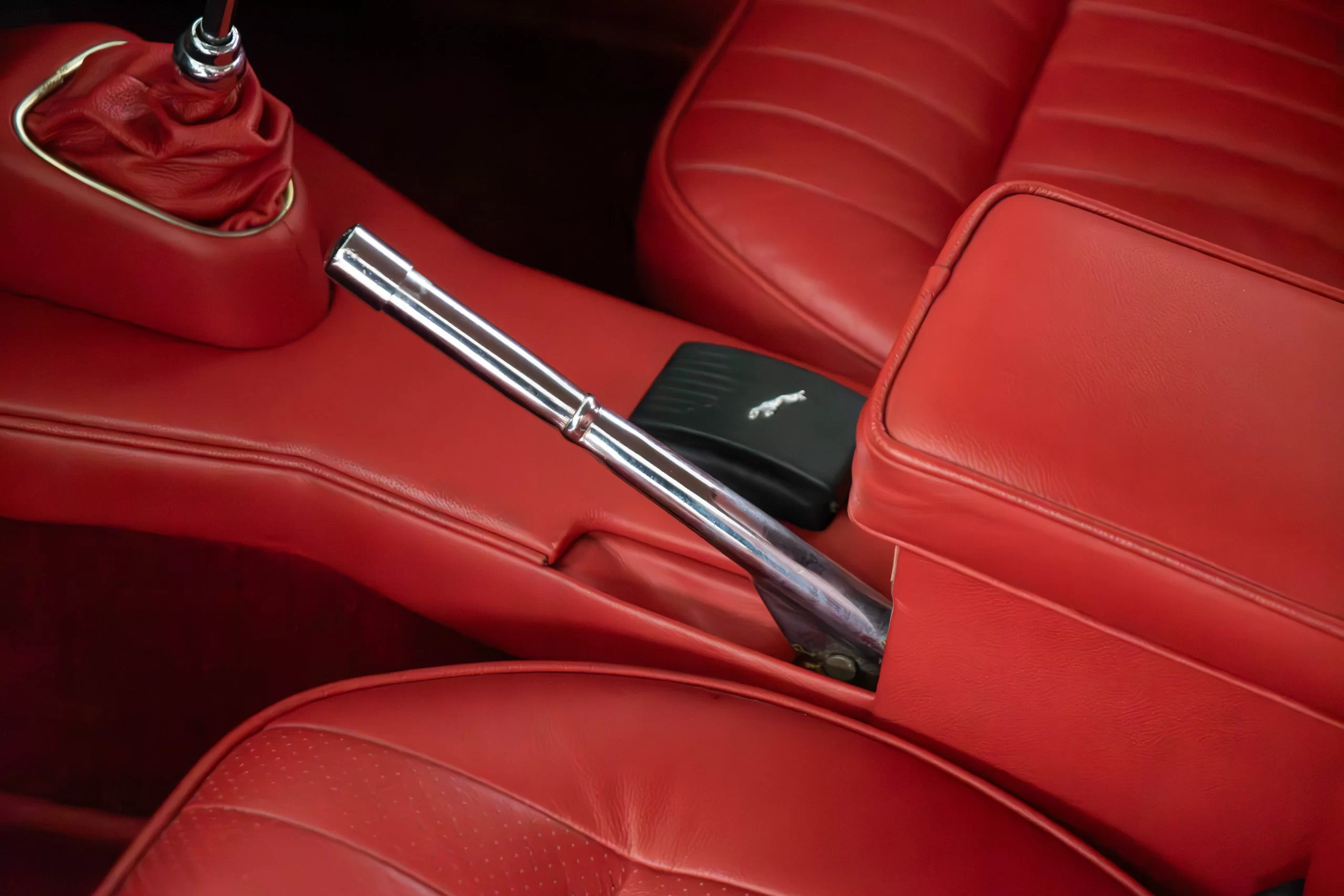 DSC01239-Enhanced-NR